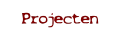 Projecten